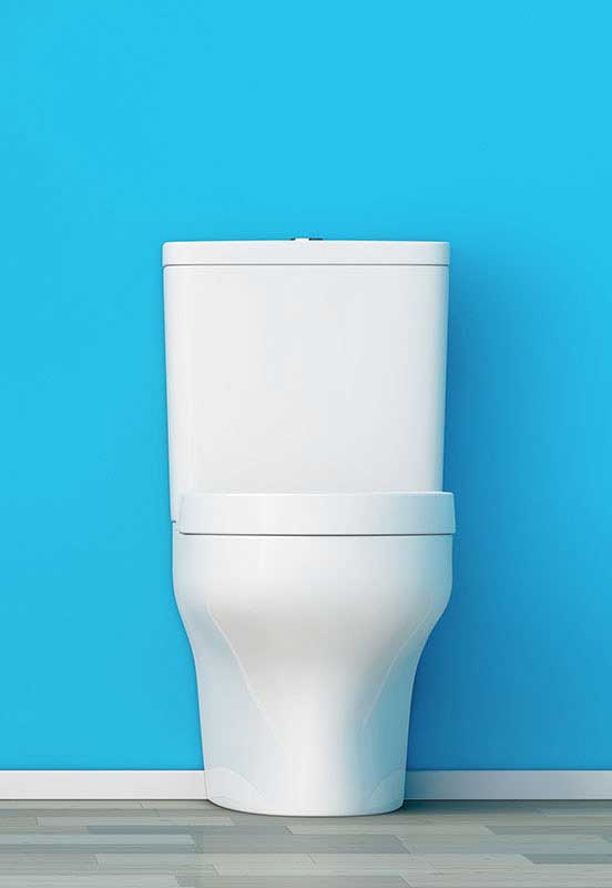 toilet-installation-colchester