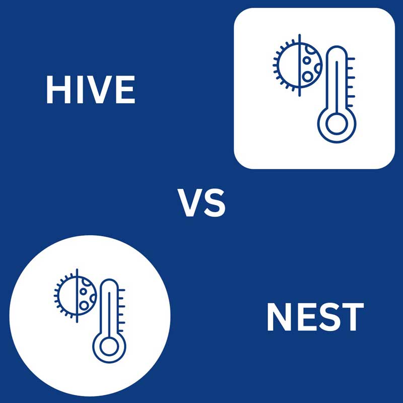 hive-vs-nest