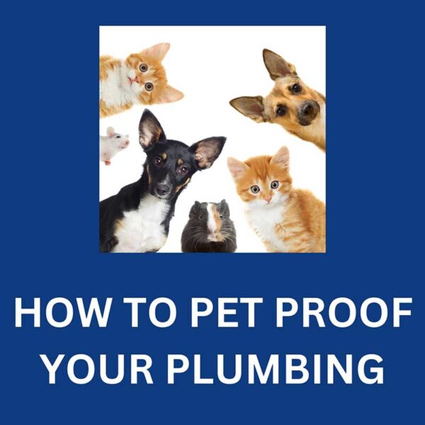 how-to-pet-proof-your-plumbing