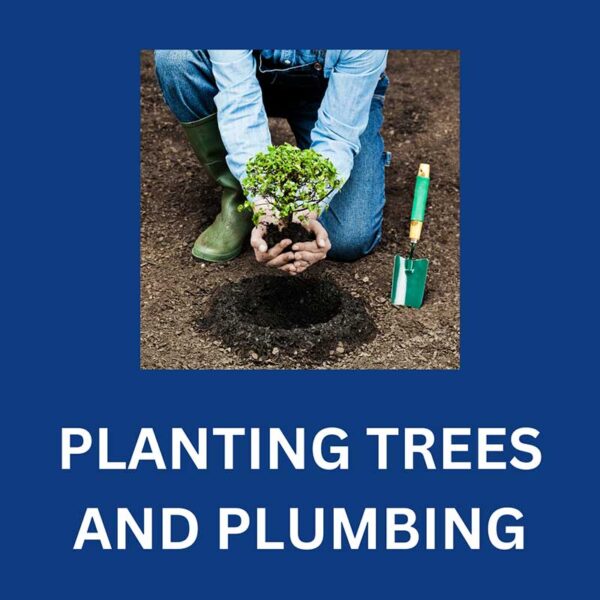 planting-trees-and-plumbing
