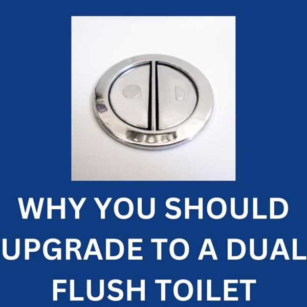 why-you-should-upgrade-to-a-dual-flush-toilet