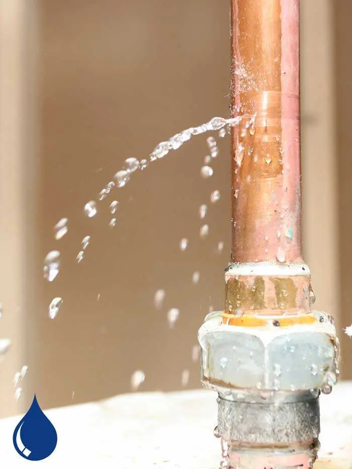 leak-detection-braintree