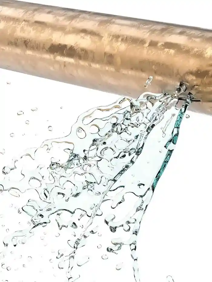 leak-detection-braintree