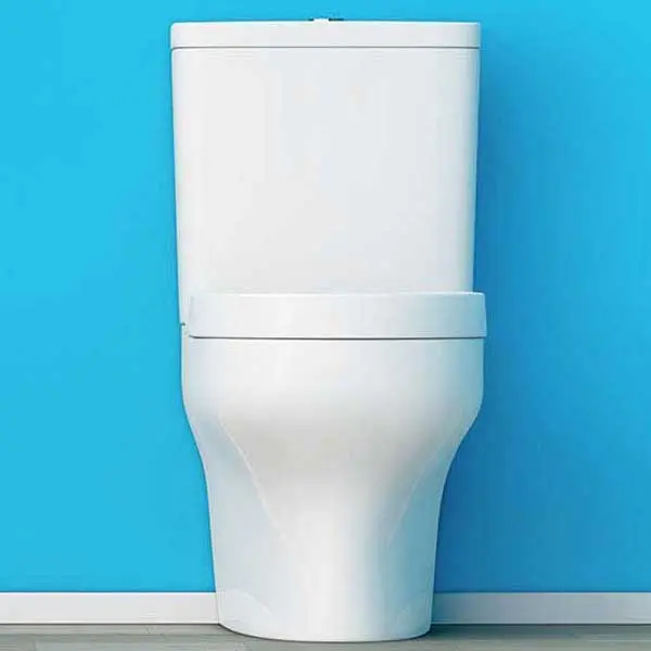 toilet-services-wickford