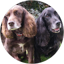 Janis Williams profile picture