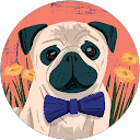 Sean M. profile picture